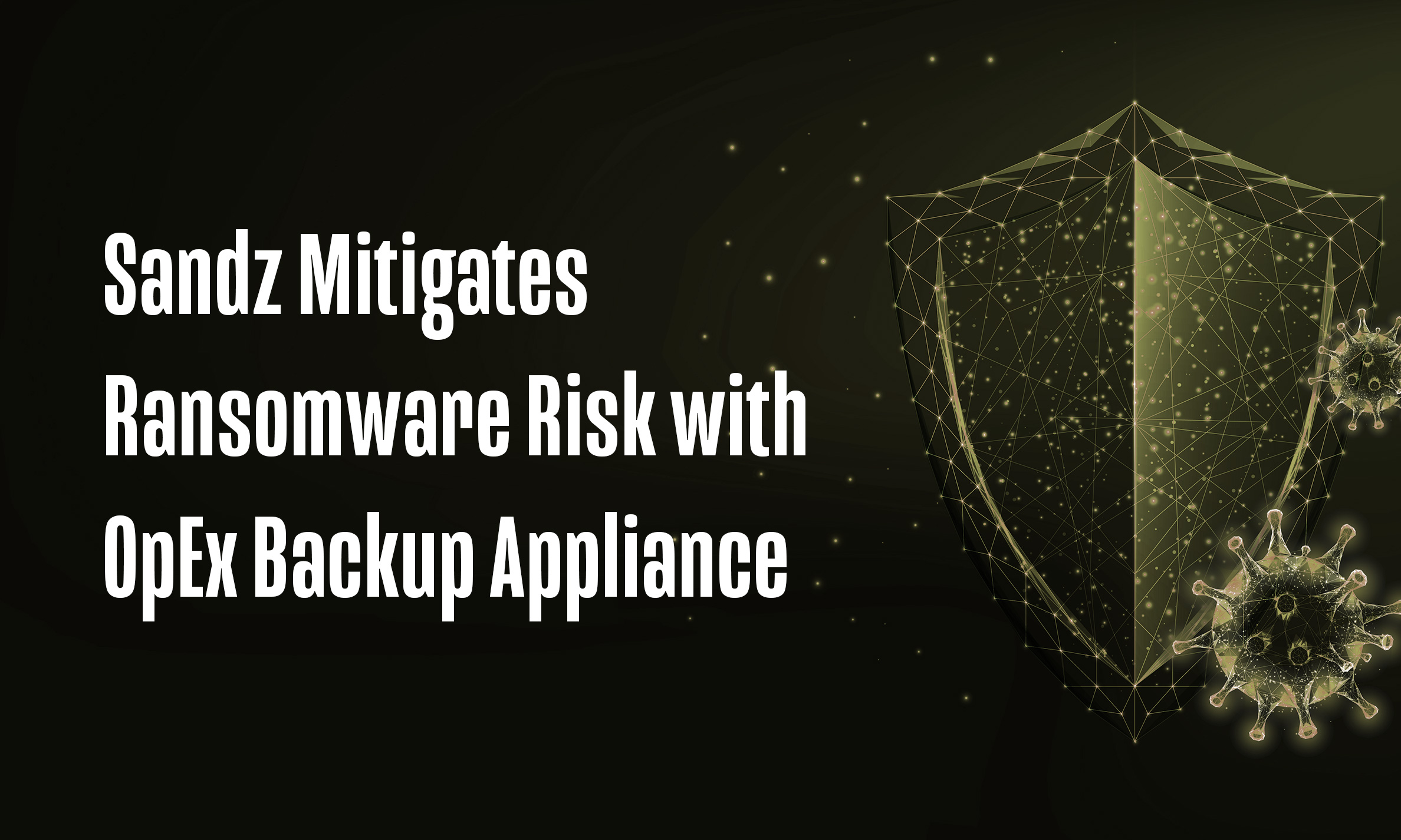 Sandz Mitigates Ransomware Risk with OpEx Backup Appliance Powered by Asigra and Zadara